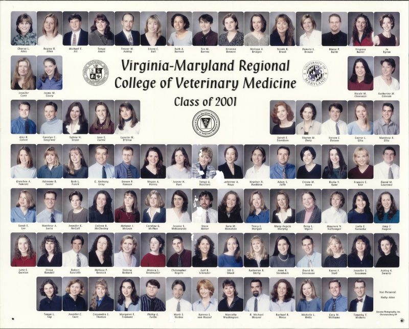 DVM Class of 2001 Composite